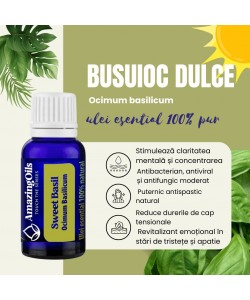  BUSUIOC DULCE -Ulei esential 100% pur -  SWEET BASIL (0scilium basilicum)-15 ml