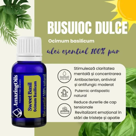  BUSUIOC DULCE -Ulei esential 100% pur -  SWEET BASIL (0scilium basilicum)-15 ml