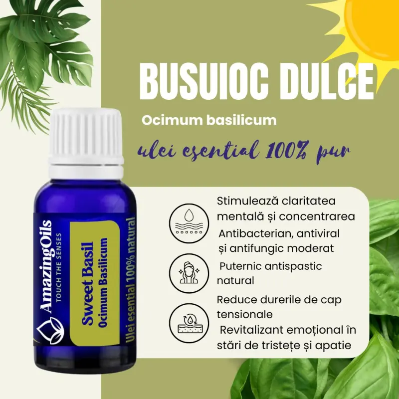  BUSUIOC DULCE -Ulei esential 100% pur -  SWEET BASIL (0scilium basilicum)-15 ml