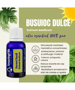  BUSUIOC DULCE -Ulei esential 100% pur -  SWEET BASIL (0scilium basilicum)-15 ml