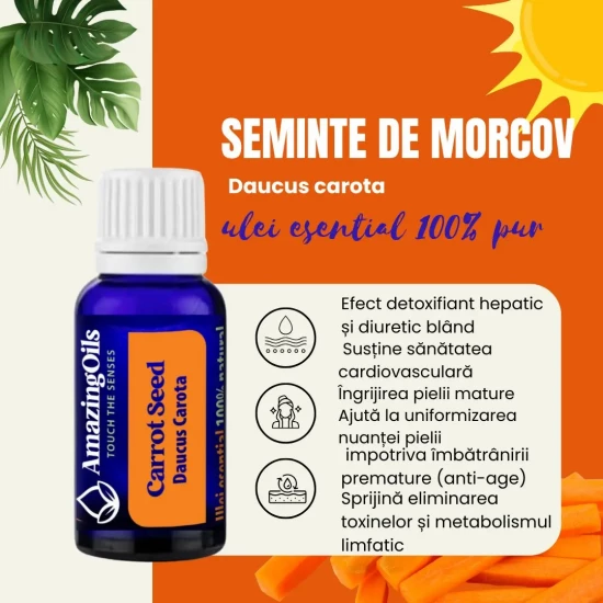 SEMINTE DE MORCOV -Ulei esential 100% pur - CARROT seeds (Daucus carota)-15 ml