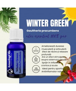  WINTERGREEN  -Ulei esential 100% pur - (Gaultheria Procumdens ) 15ml