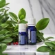  WINTERGREEN  -Ulei esential 100% pur - (Gaultheria Procumdens ) 15ml