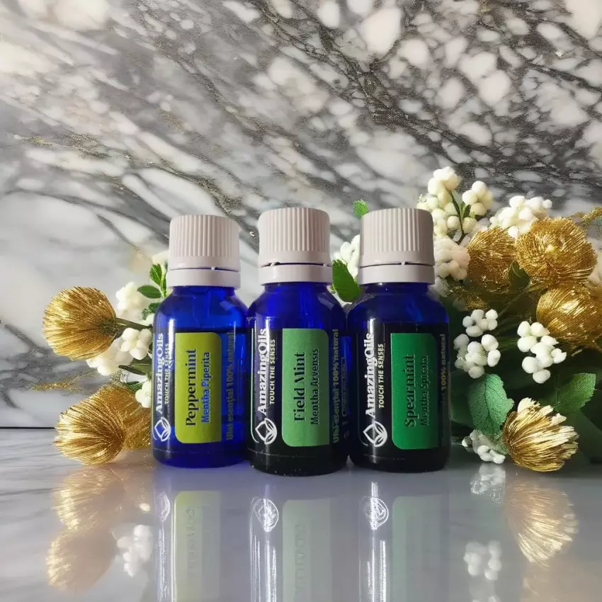  MENTA/ PEPPERMINT -Ulei esential 100% pur ( Mentha x piperita )-15 ml