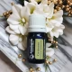  CARDAMOM-  Ulei esential 100% pur - CARDAMOM OIL (Elettaria Cardamomum)-5ml