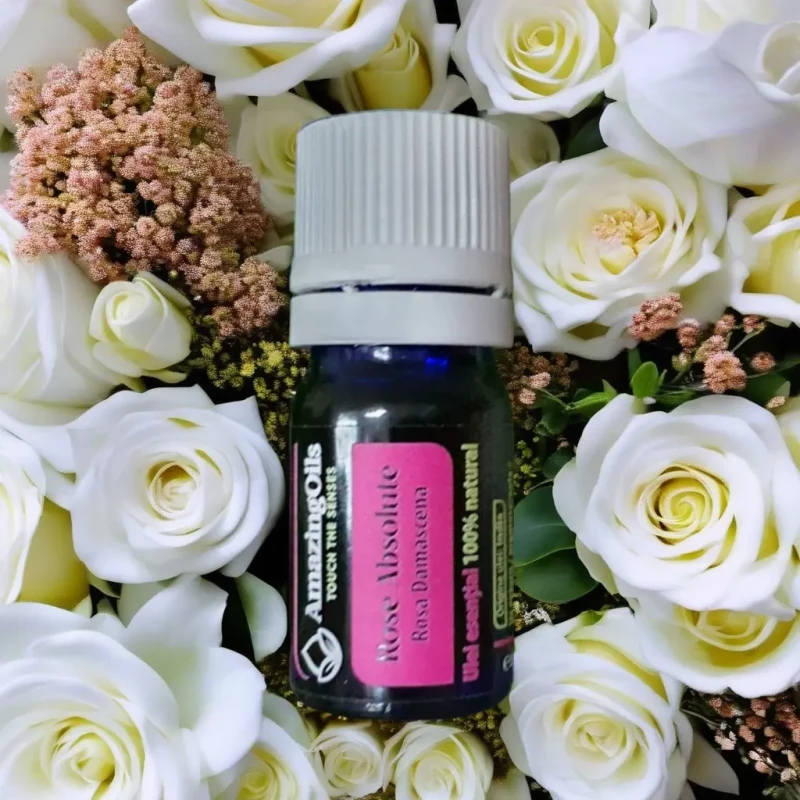  ABSOLUT de TRANDAFIR-Ulei  esential - ROSE ABSOLUTE ( Rosa damascena) 5ml