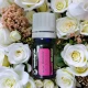 ABSOLUT de TRANDAFIR-Ulei  esential - ROSE ABSOLUTE ( Rosa damascena) 5ml
