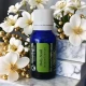   BUSUIOC SFANT-Ulei  esential 100% pur-HOLY BASIL  OIL (Ocimum sanctum) 15 ml 