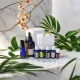 SET de uleiuri esentiale pentru CELULITA