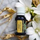  GHIMBIR - Ulei esential 100% pur -  GINGER OIL (Zingiber officinale) -15 ml 