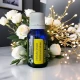 HELICHRYSUM Ulei esential 100%pur-HELICHRYSUM OIL(Helichrysum italicum) 15ml