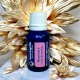 ROZMARIN - Ulei esential 100% pur -  ROSEMARY OIL (Salvia rosmarinus) 15ml