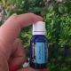  RAVINTSARA -Ulei  esential 100% pur (Cinnamomum camphora) 15 ml