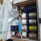 SET de uleiuri esentiale pentru CELULITA