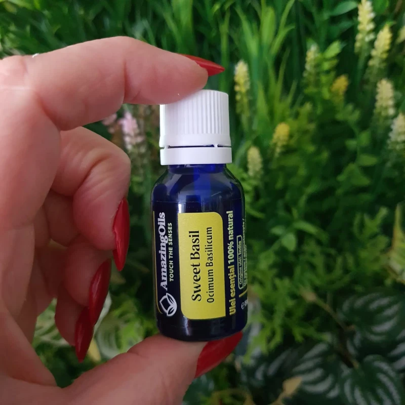  BUSUIOC DULCE -Ulei esential 100% pur -  SWEET BASIL (0scilium basilicum)-15 ml