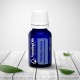  WINTERGREEN  -Ulei esential 100% pur - (Gaultheria Procumdens ) 15 ml
