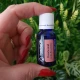 PALISANDRU -Ulei esential 100% pur -  ROSEWOOD (Aniba Rosaeodora)   15 ml