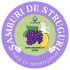 SAMBURI DE STRUGURI - Ulei  virgin- (vitis vinifera seed oil)sticla cu pipeta 100 ml