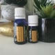 BATON DE SCORTISOARA -Ulei esential 100% pur - (Cinnamomum zeylanicum) 5 ml