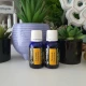 TURMERIC- Ulei esential 100% pur -TURMERIC OIL (Curcuma longa)-15ml