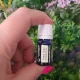 YLANG YLANG  -Ulei esential 100% pur  - (Cananga odorata var.genuina) 5ml