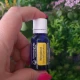 BERGAMOTA -  Ulei esential 100% pur - BERGAMOT(Citrus bergamia) 15 ml