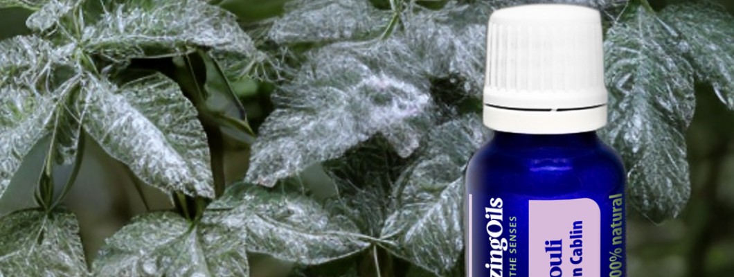 Care sunt beneficiile uleiului esențial de Patchouli