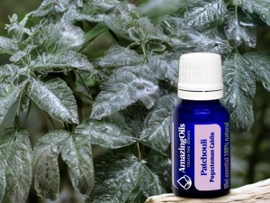 Care sunt beneficiile uleiului esențial de Patchouli