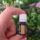 BATON DE SCORTISOARA -Ulei esential 100% pur - (Cinnamomum zeylanicum) 5 ml