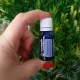  WINTERGREEN  -Ulei esential 100% pur - (Gaultheria Procumdens ) 15ml