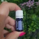 WINTERGREEN -Ulei esential 100% pur -  (Gaultheria Procumdens ) 5ml